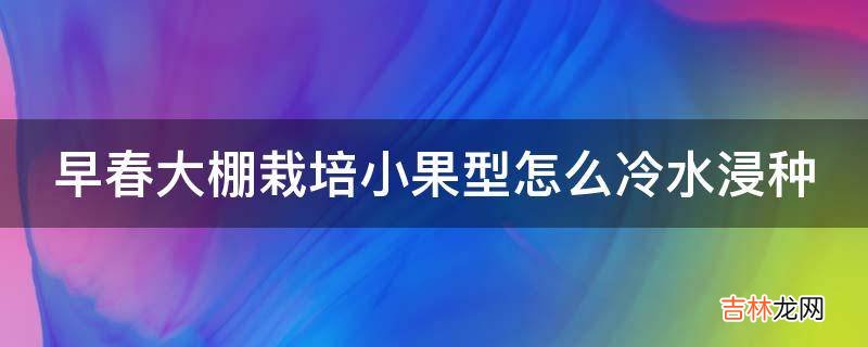 早春大棚栽培小果型怎么冷水浸种?