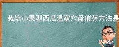 栽培小果型西瓜温室穴盘催芽方法是什么?