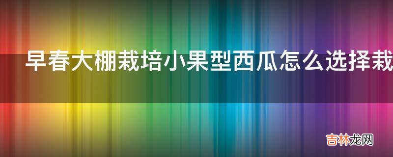 早春大棚栽培小果型西瓜怎么选择栽培场地?