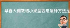 早春大棚栽培小果型西瓜浸种方法是什么?