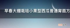 早春大棚栽培小果型西瓜普通育苗方法是什么?