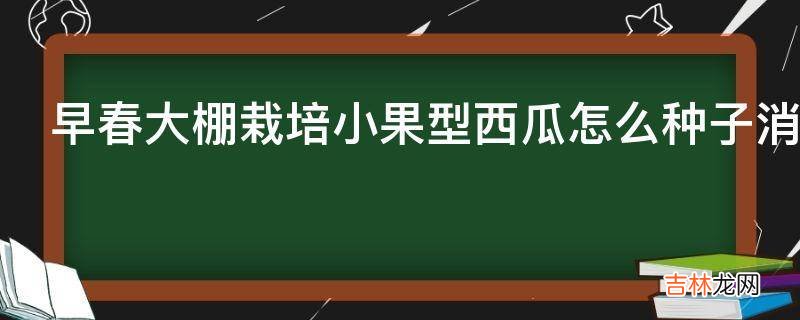 早春大棚栽培小果型西瓜怎么种子消毒?