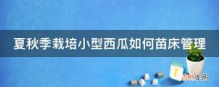 夏秋季栽培小型西瓜如何苗床管理?