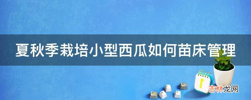 夏秋季栽培小型西瓜如何苗床管理?