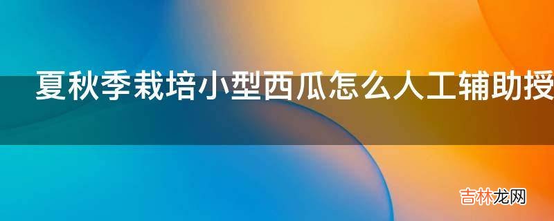 夏秋季栽培小型西瓜怎么人工辅助授粉?