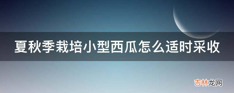 夏秋季栽培小型西瓜怎么适时采收?