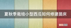 夏秋季栽培小型西瓜如何修建苗床?