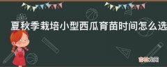 夏秋季栽培小型西瓜育苗时间怎么选择?