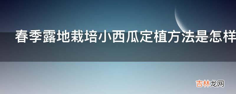 春季露地栽培小西瓜定植方法是怎样的?