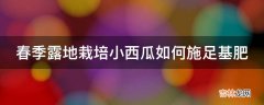 春季露地栽培小西瓜如何施足基肥?