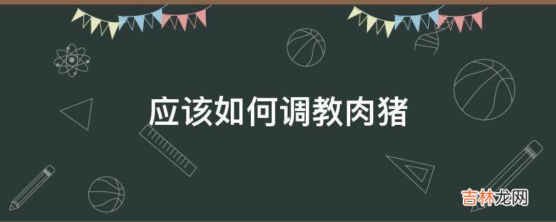 应该如何调教肉猪?