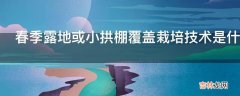 春季露地或小拱棚覆盖栽培技术是什么?