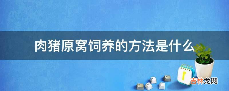 肉猪原窝饲养的方法是什么?