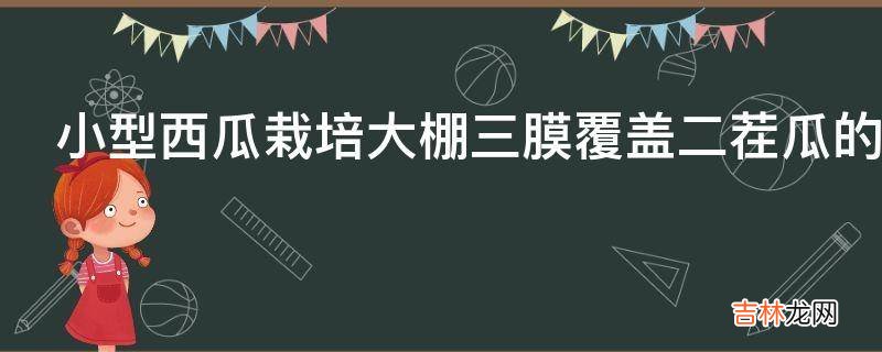 小型西瓜栽培大棚三膜覆盖二茬瓜的管理方法是什么?