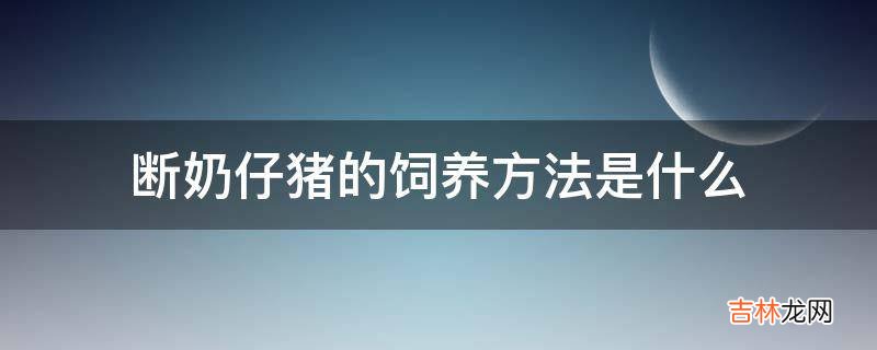 断奶仔猪的饲养方法是什么?