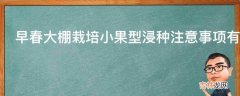 早春大棚栽培小果型浸种注意事项有哪些?