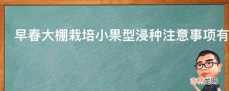 早春大棚栽培小果型浸种注意事项有哪些?