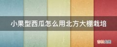 小果型西瓜怎么用北方大棚栽培?