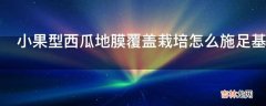 小果型西瓜地膜覆盖栽培怎么施足基肥?