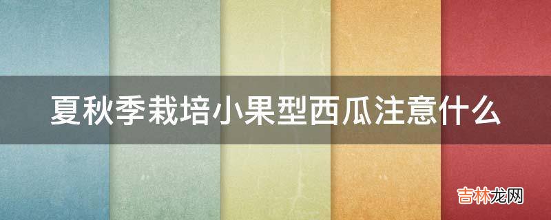 夏秋季栽培小果型西瓜注意什么?