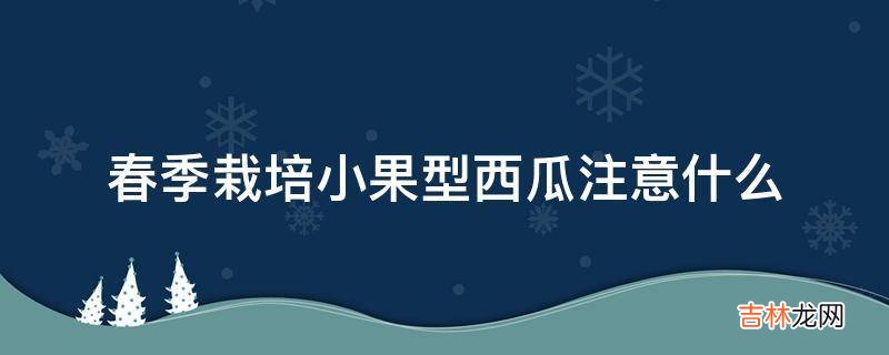 春季栽培小果型西瓜注意什么?