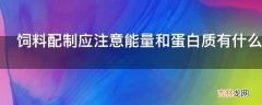 饲料配制应注意能量和蛋白质有什么关系?