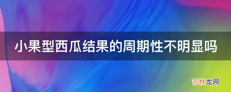 小果型西瓜结果的周期性不明显吗?