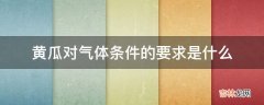 黄瓜对气体条件的要求是什么?