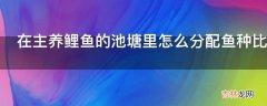 在主养鲤鱼的池塘里怎么分配鱼种比例?