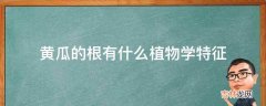 黄瓜的根有什么植物学特征?