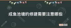 成鱼池塘的修建需要注意哪些?