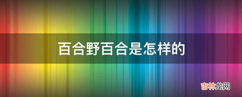 百合野百合是怎样的?