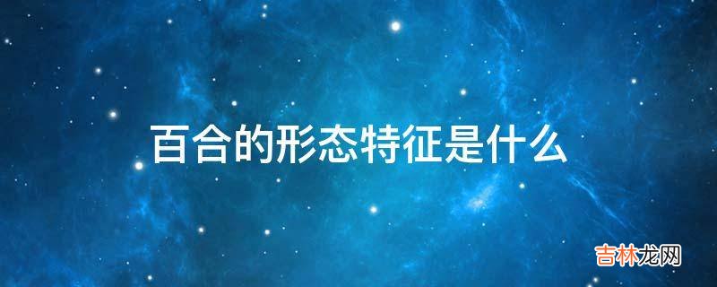 百合的形态特征是什么?