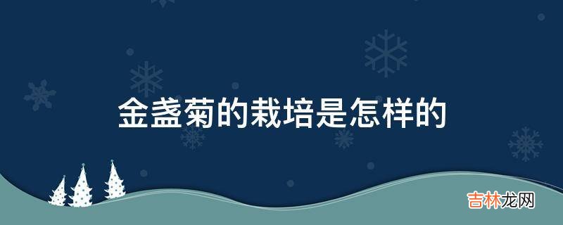 金盏菊的栽培是怎样的?