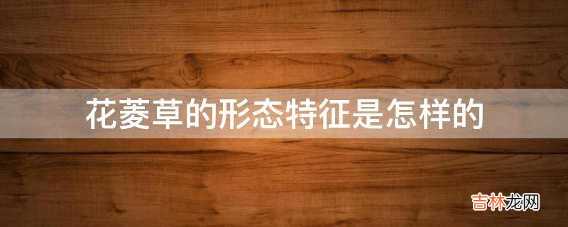 花菱草的形态特征是怎样的?