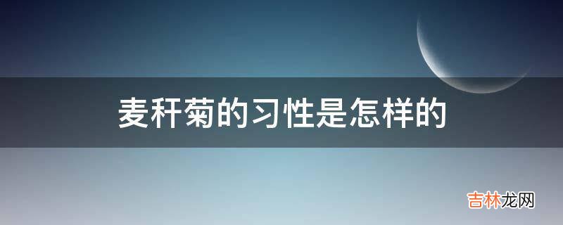 麦秆菊的习性是怎样的?