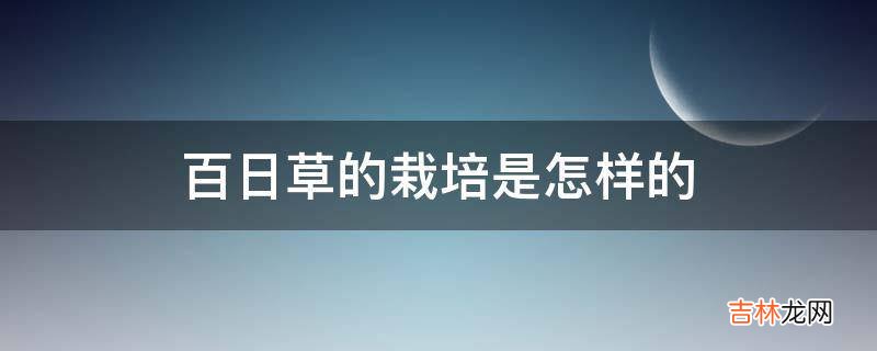 百日草的栽培是怎样的?