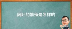 阔叶的繁殖是怎样的?