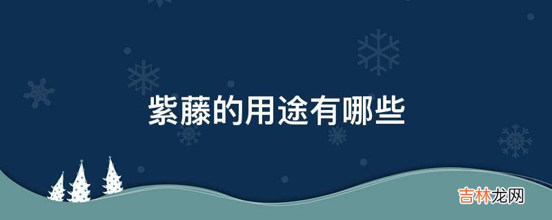 紫藤的用途有哪些?