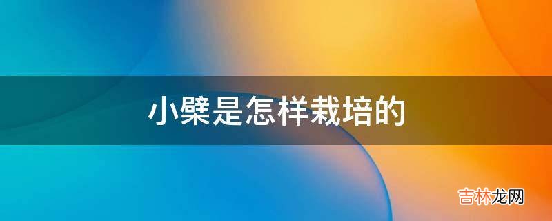 小檗是怎样栽培的?