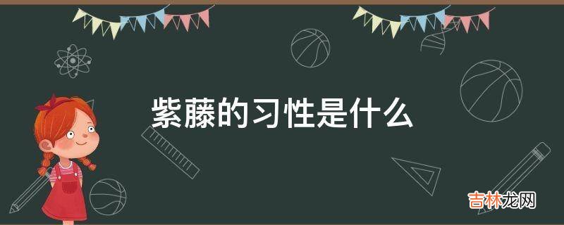 紫藤的习性是什么?