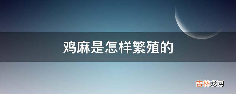 鸡麻是怎样繁殖的?