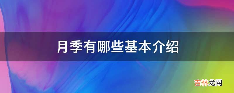 月季有哪些基本介绍?