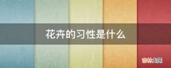 花卉的习性是什么?