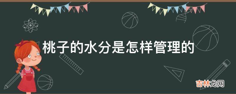 桃子的水分是怎样管理的?