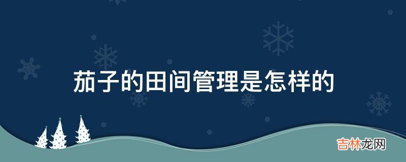 茄子的田间管理是怎样的?