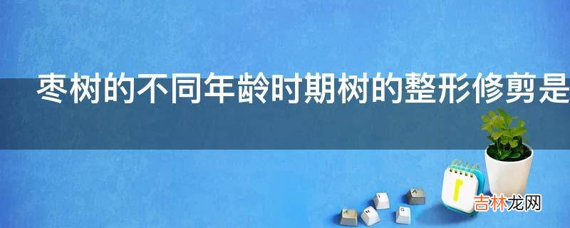枣树的不同年龄时期树的整形修剪是怎样的?