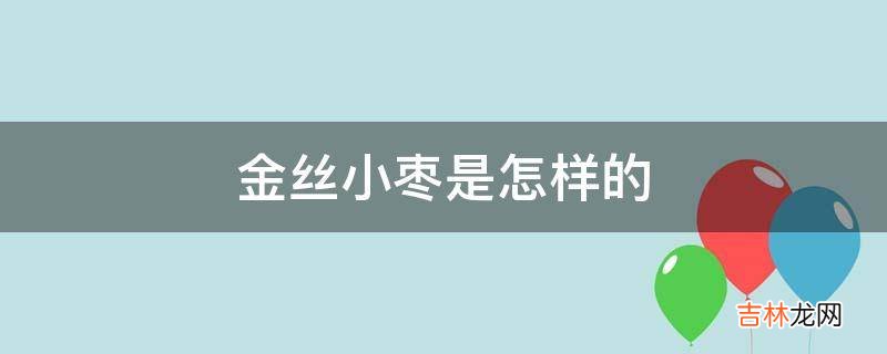 金丝小枣是怎样的?