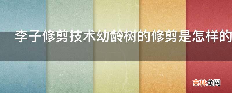 李子修剪技术幼龄树的修剪是怎样的?