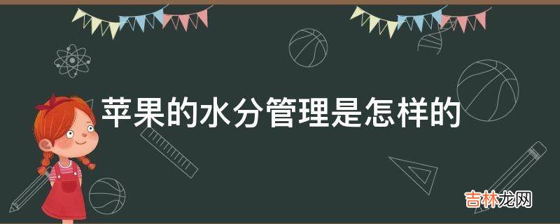 苹果的水分管理是怎样的?